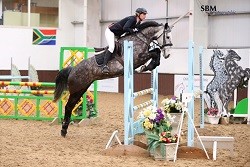 Show Jumping horses for sale in Chesham